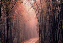 足球直播在线观看免费-波兰逆转奇迹!秘鲁意外失利,德容帽子戏法燃爆全场