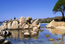 足球直播吧-阿森纳横扫巴萨,弗拉霍维奇统治全场:足球盛宴的新时代到来