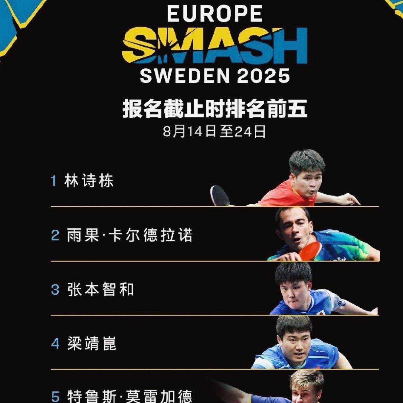 瑞典队在比赛中奋力拼搏,再次证明实力 瑞典队在比赛中奋力拼搏,再次证明实力