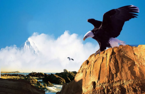 关于青岛黄海队开启联赛新征程,带着前途展望的信息 关于青岛黄海队开启联赛新征程,带着前途展望的信息