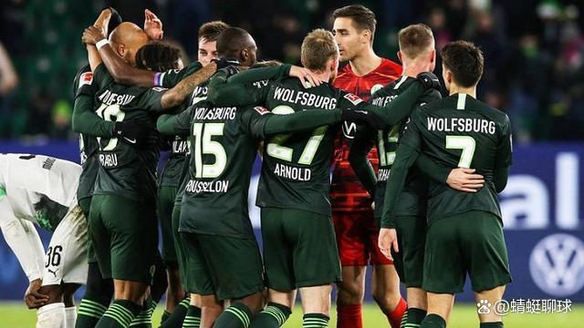 沃尔夫斯堡客场逆转多特蒙德,取得关键胜利 沃尔夫斯堡客场逆转多特蒙德,取得关键胜利