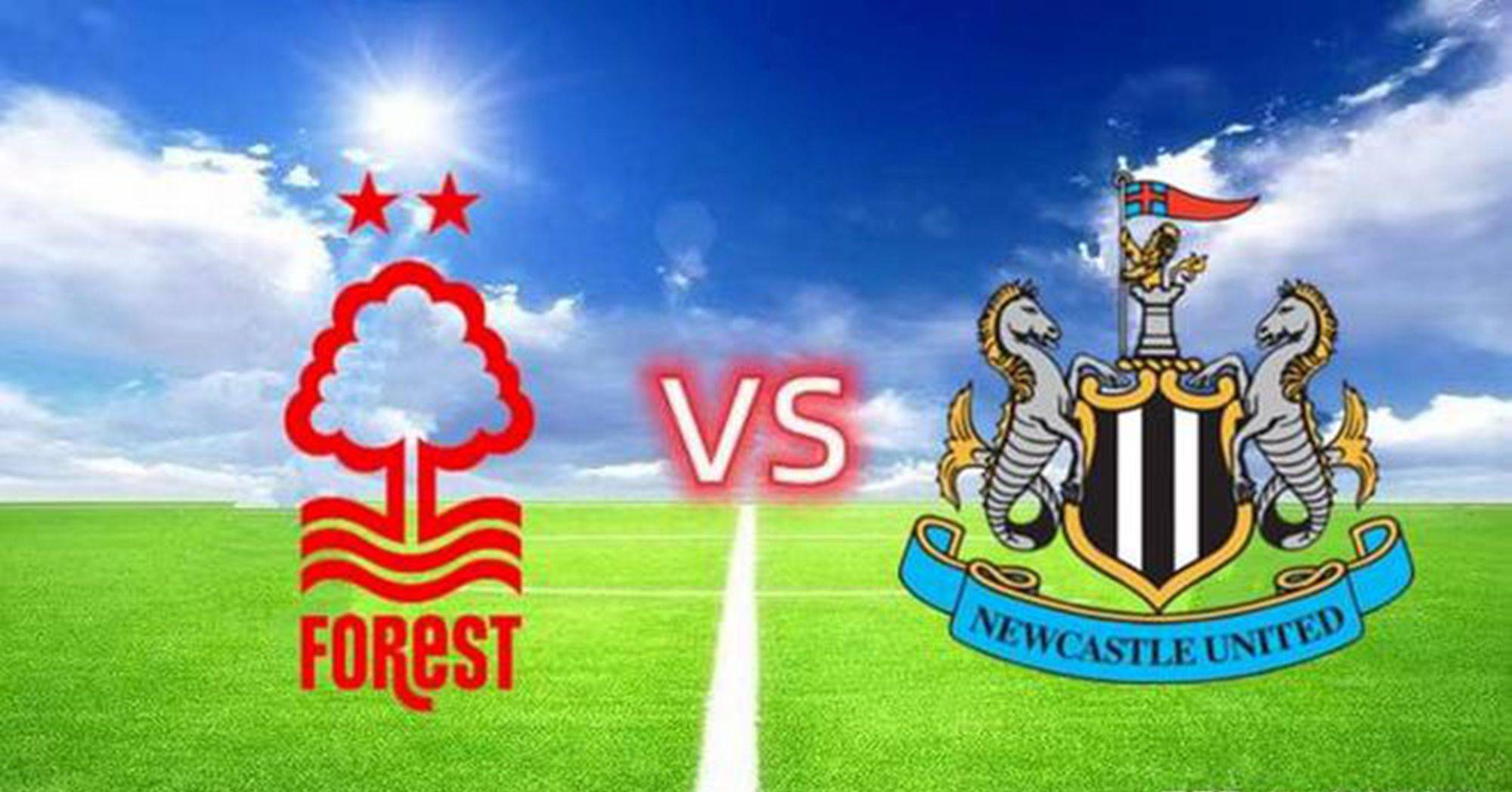 包含纽卡斯尔主场告捷,保级希望渐浓的词条 包含纽卡斯尔主场告捷,保级希望渐浓的词条